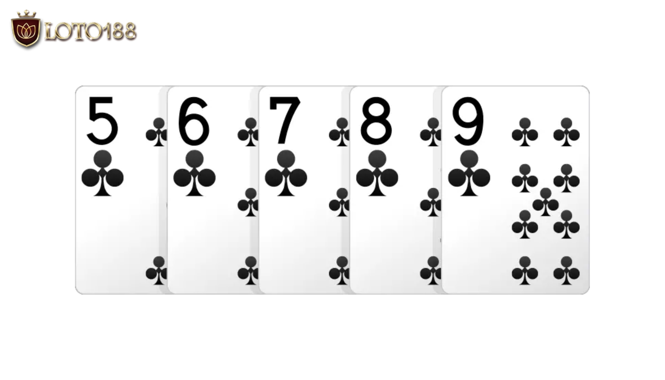 Sảnh đồng chất trong Poker