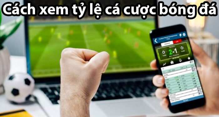 Cách xem tỷ lệ cá cược bóng đá đơn giản nhất cho cược thủ moi