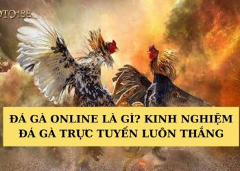 Đá gà online