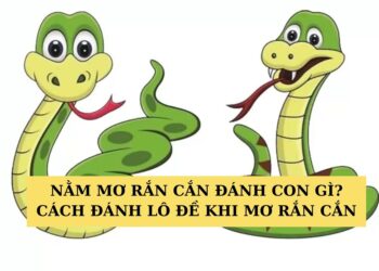Mơ rắn cắn