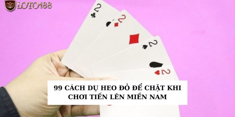 Cách dụ heo đỏ