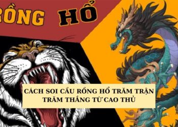 Soi cầu Rồng Hổ