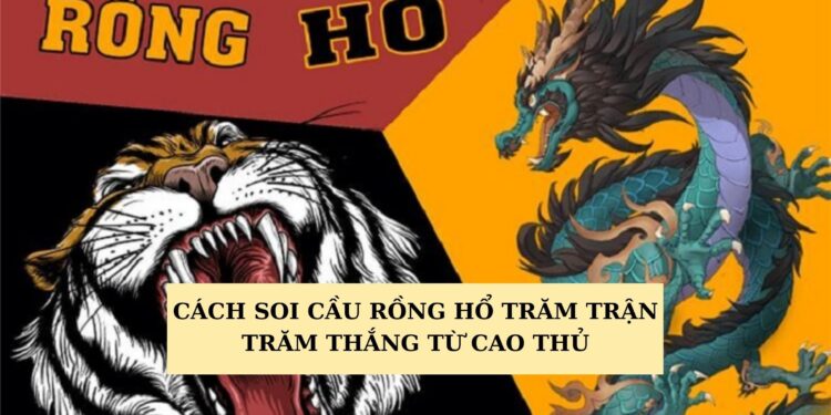 Soi cầu Rồng Hổ